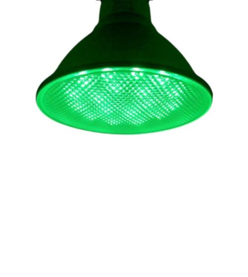 lampara led par 38 13w luz verde